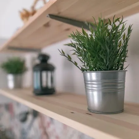 Hedon-stone Starigrad Paklenica