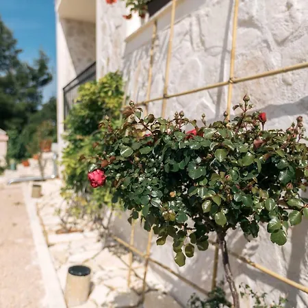 Hedon-stone Starigrad Paklenica