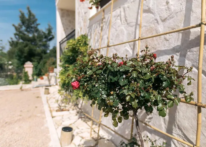 Hedon-stone Starigrad Paklenica