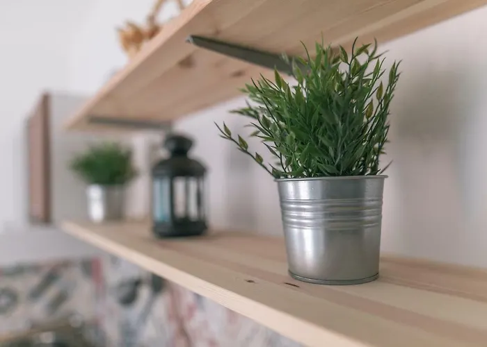 Hedon-stone Starigrad Paklenica